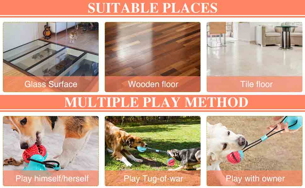 c93d6902-7d48-471d-8efc-76902b98757d.__CR0,0,970,600_PT0_SX970_V1___